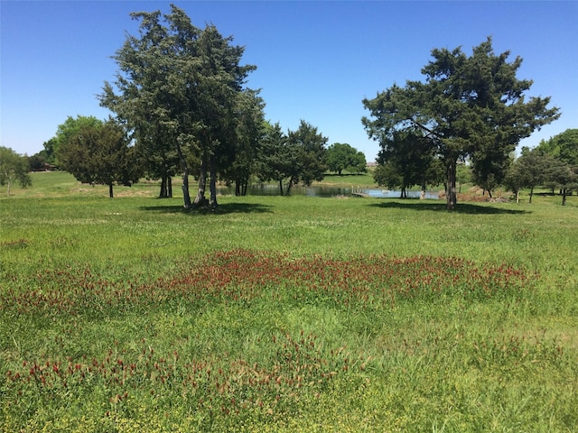 Listing photo 3 for 1890 Mamie Rd, Greenville TX 75402