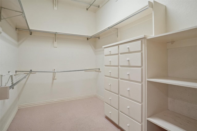 walk in closet featuring carpet flooring