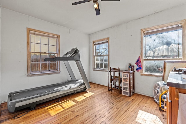 workout area with ceiling fan and light hardwood / wood-style flooring