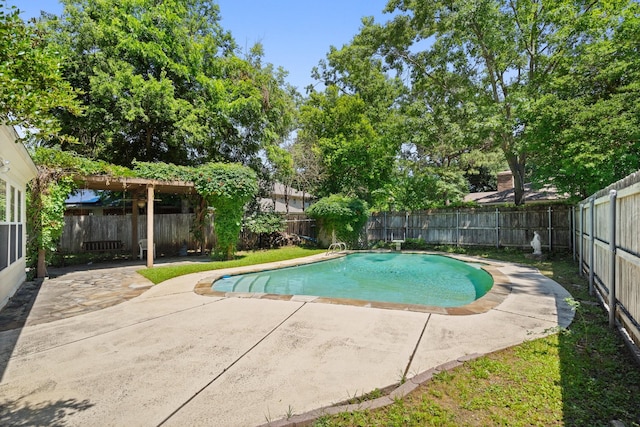 view of pool with a patio area