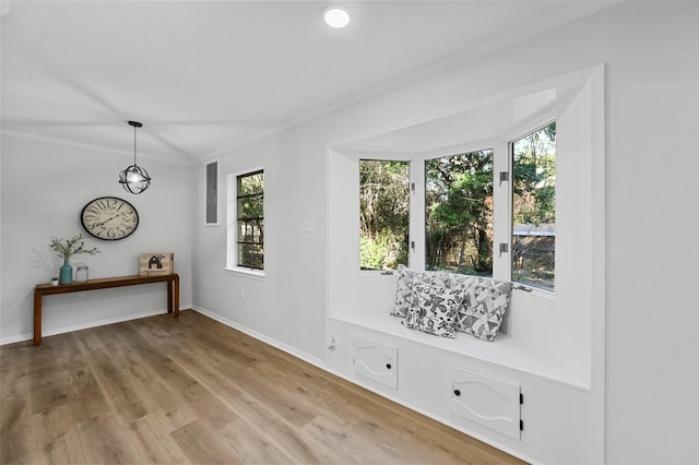 interior space featuring hardwood / wood-style floors and crown molding