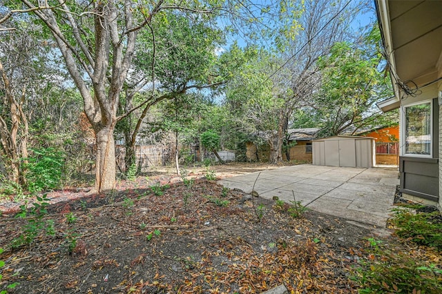 view of yard featuring a patio area and a shed