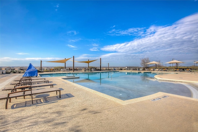 view of pool featuring a patio area