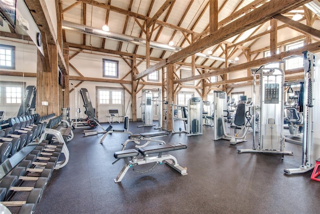 workout area with plenty of natural light and high vaulted ceiling