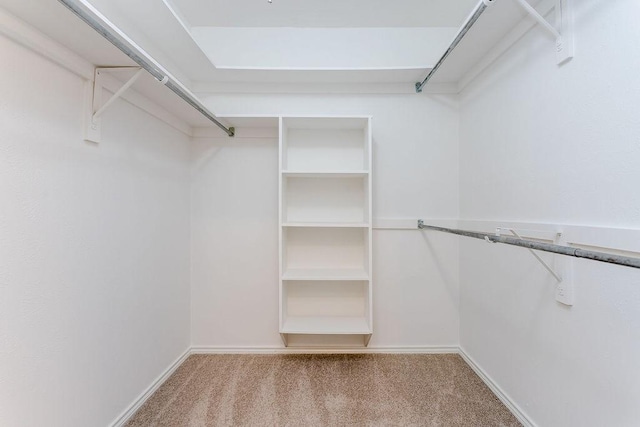 spacious closet with carpet