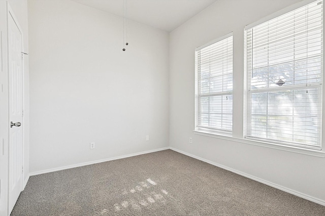 unfurnished room featuring carpet floors