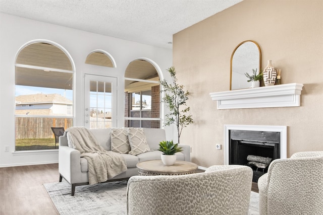 living room featuring wood-type flooring, a textured ceiling, and a wealth of natural light