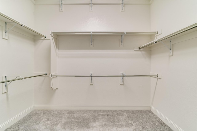 walk in closet with carpet flooring