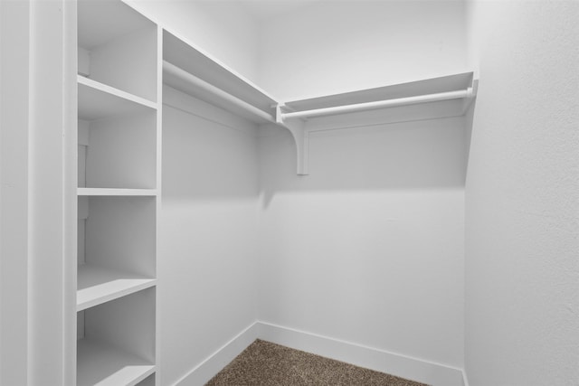 walk in closet featuring carpet flooring