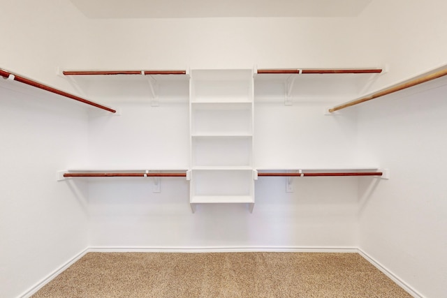 spacious closet featuring carpet floors