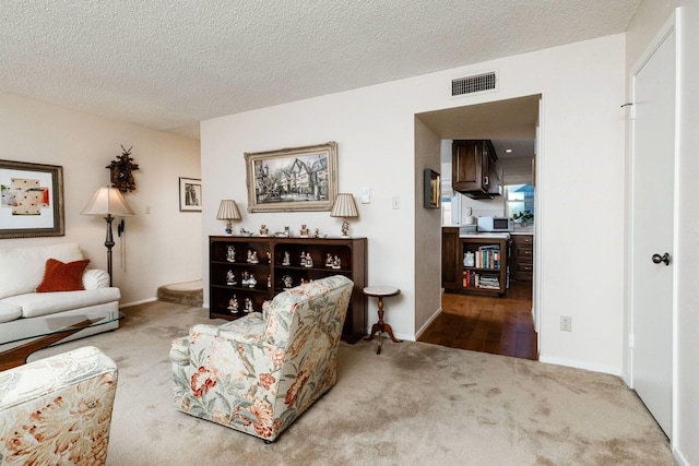 living room featuring a textured ceiling and carpet