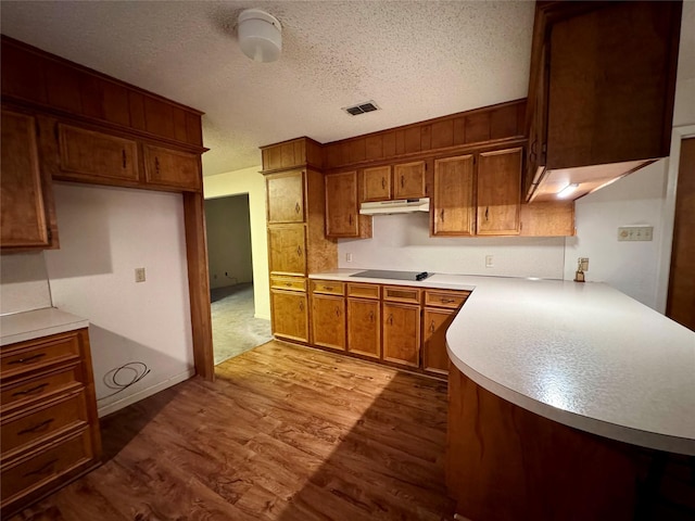 kitchen featuring a textured ceiling, black electric stovetop, and light hardwood / wood-style flooring