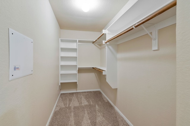 spacious closet with light carpet