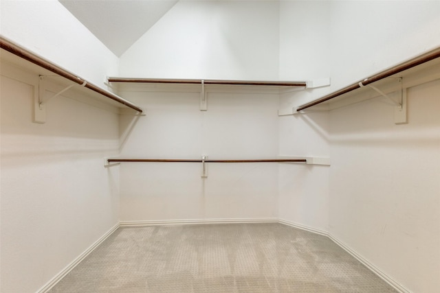 walk in closet featuring lofted ceiling and light colored carpet