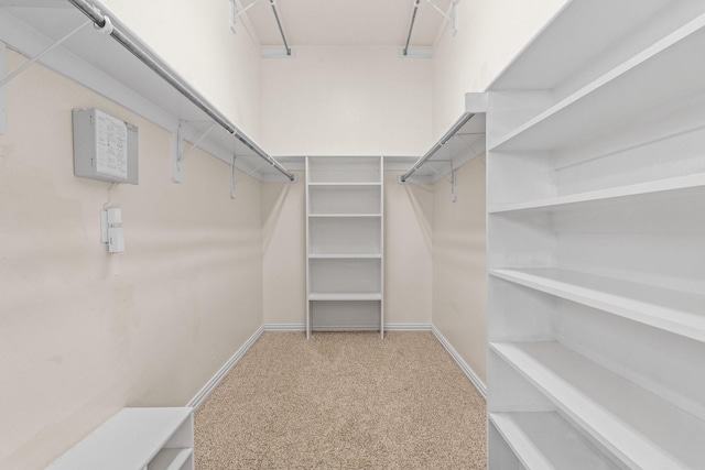 walk in closet featuring carpet