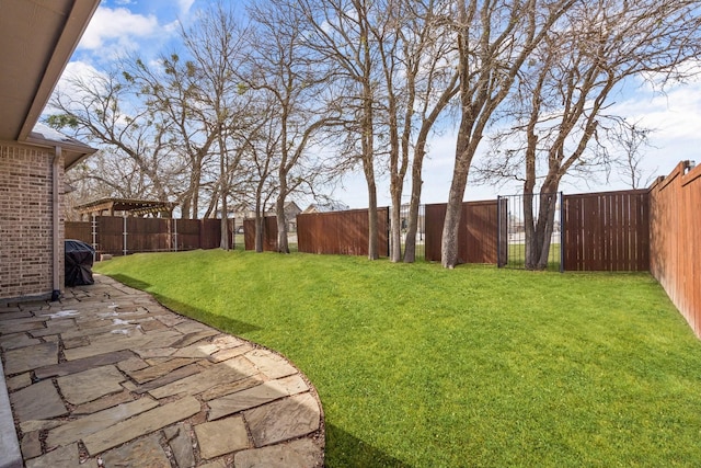 view of yard with a patio