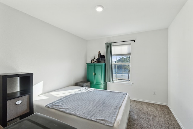 bedroom with carpet floors