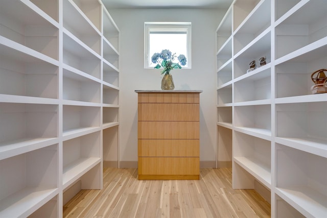 spacious closet featuring light hardwood / wood-style floors