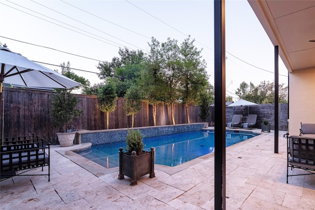 view of pool with a patio