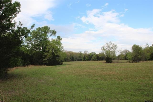 view of nature featuring a rural view