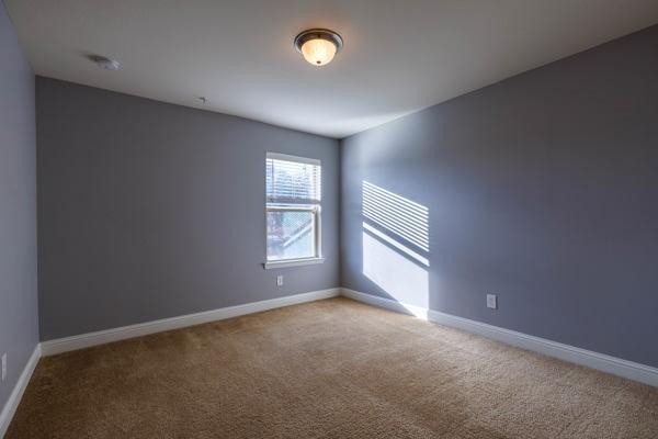 spare room featuring carpet floors