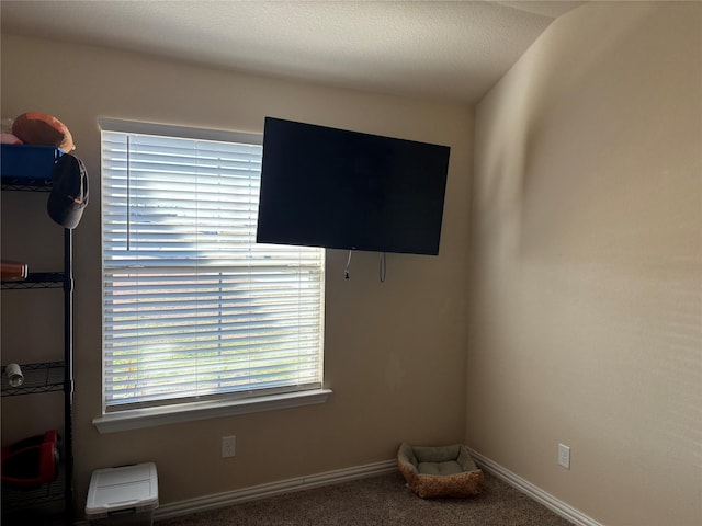 interior space with carpet