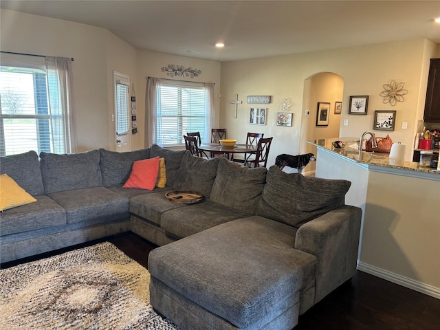 living room with sink, plenty of natural light, and dark hardwood / wood-style flooring