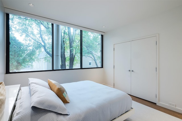 bedroom with wood-type flooring and a closet