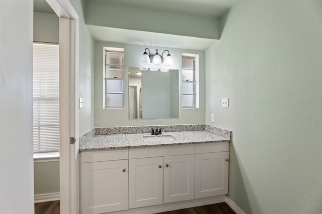 bathroom featuring plenty of natural light and vanity