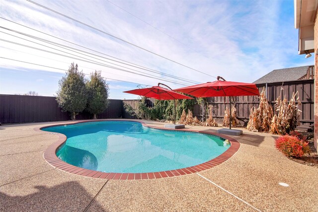 view of pool featuring a patio area