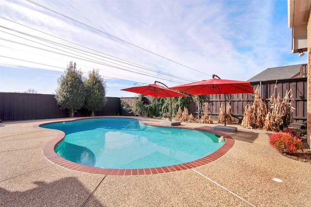 view of pool with a patio area, a fenced backyard, and a fenced in pool