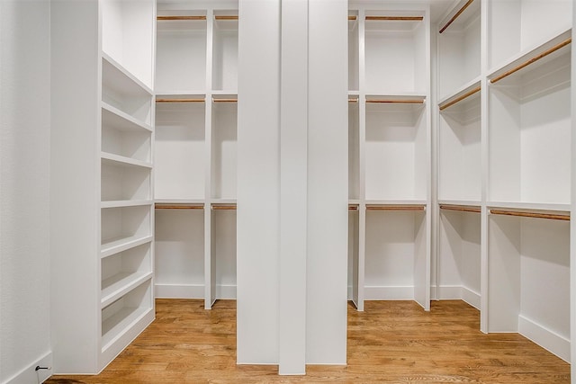 spacious closet featuring light wood-type flooring