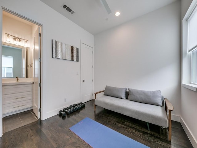 sitting room featuring sink and dark wood-type flooring