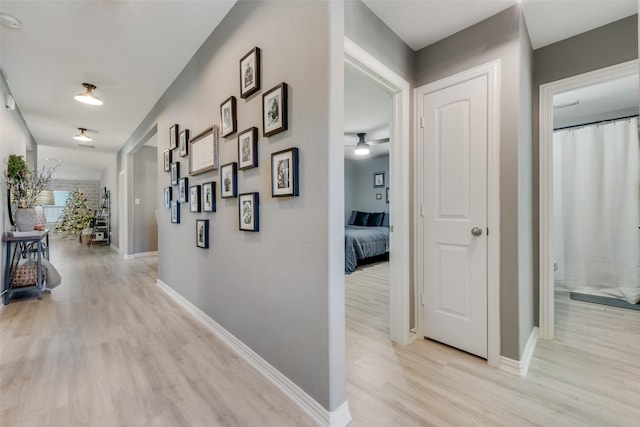 corridor featuring light hardwood / wood-style floors