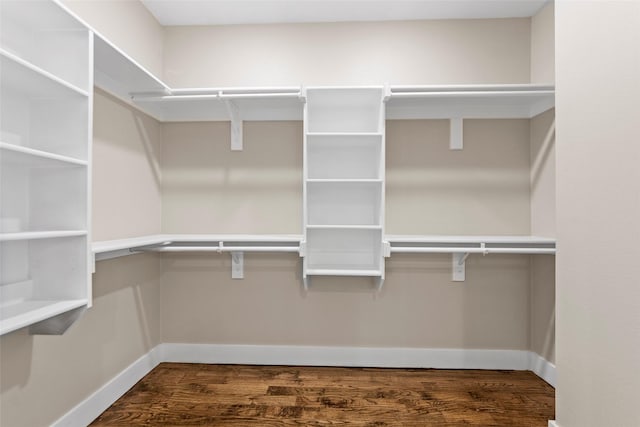 spacious closet featuring dark wood-type flooring