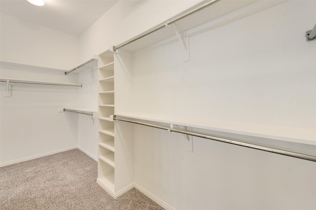 spacious closet featuring light carpet