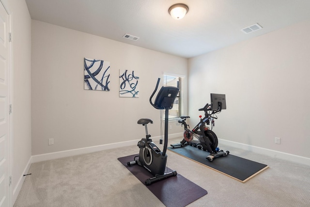 exercise area featuring carpet floors