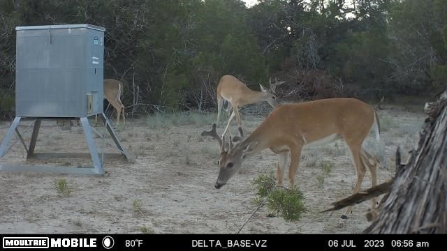 3874 County Road 421, Evant, TX 76525