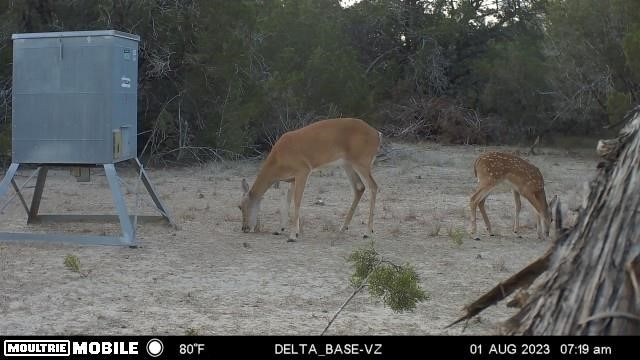 3874 County Road 421, Evant, TX 76525