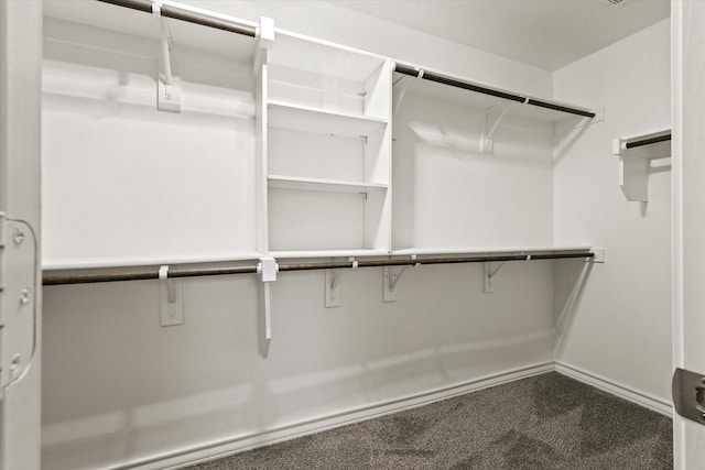 spacious closet with carpet