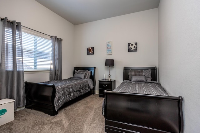 bedroom with carpet flooring