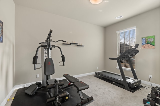 exercise area with carpet floors