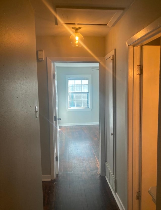 corridor with dark wood-type flooring