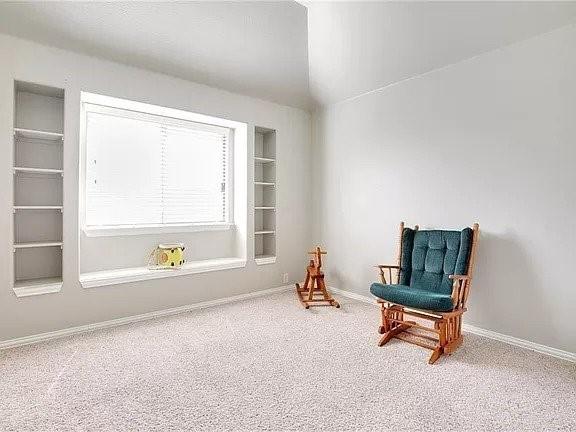 living area featuring carpet floors and built in features