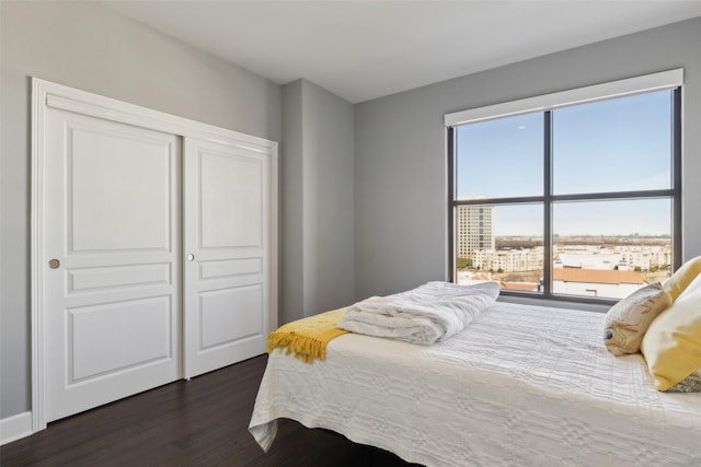 bedroom with a closet, multiple windows, and dark hardwood / wood-style floors