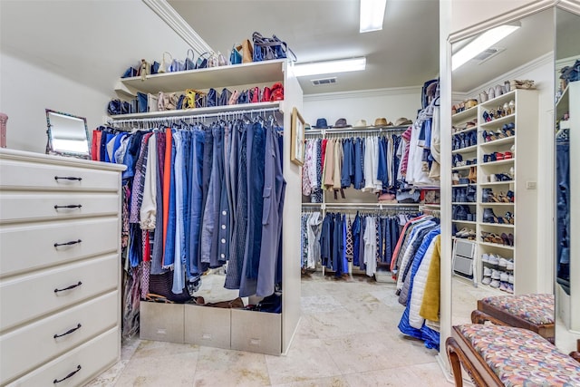 view of spacious closet