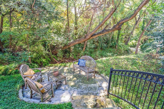 view of yard with a patio area