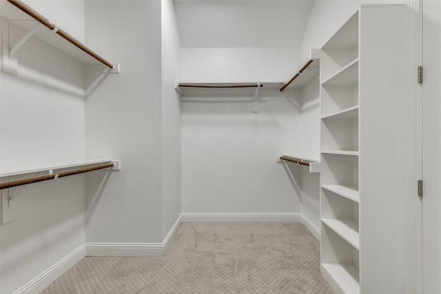 spacious closet with light carpet