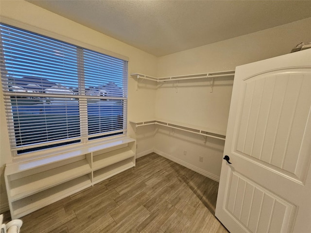 spacious closet with hardwood / wood-style flooring