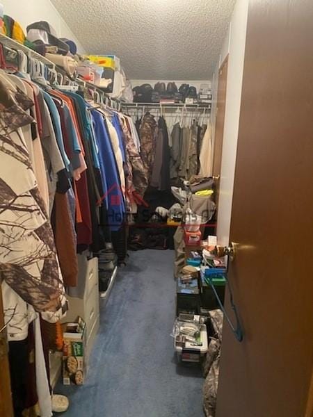 spacious closet featuring dark colored carpet